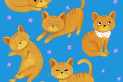 Olia-Shovkova_cats