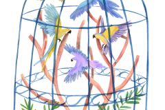 Olia-Shovkova_birds_cage_parrots